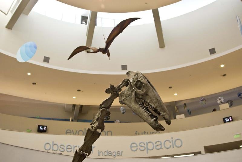 Qué hacer en Córdoba Capital: Guía cultural y museos imperdibles para las vacaciones de invierno
